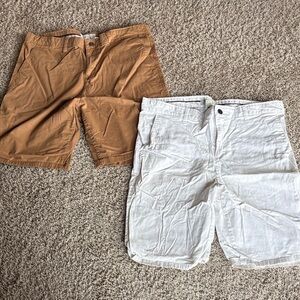 Alexander Julian Cargo Shorts Bunde!